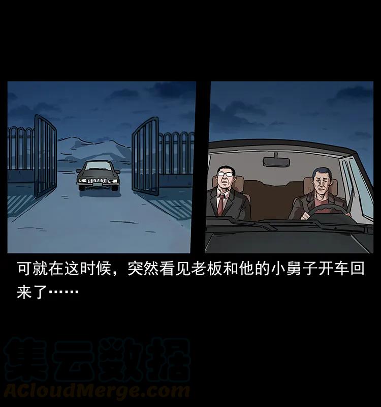 230 生桩20