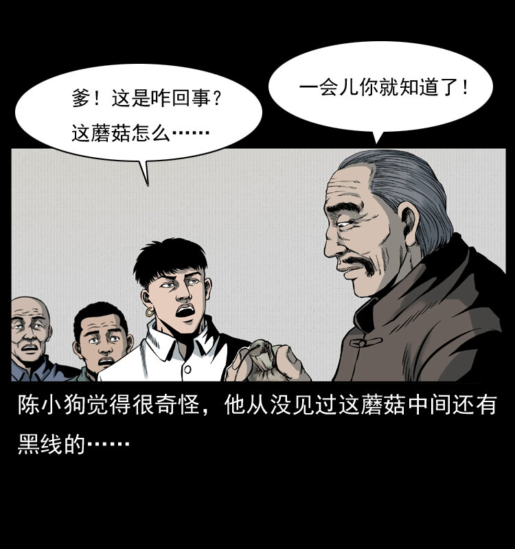 006 棺材菇17