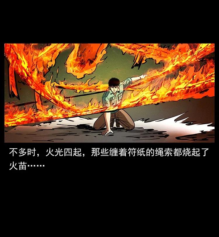 370 乌翅凤凰37