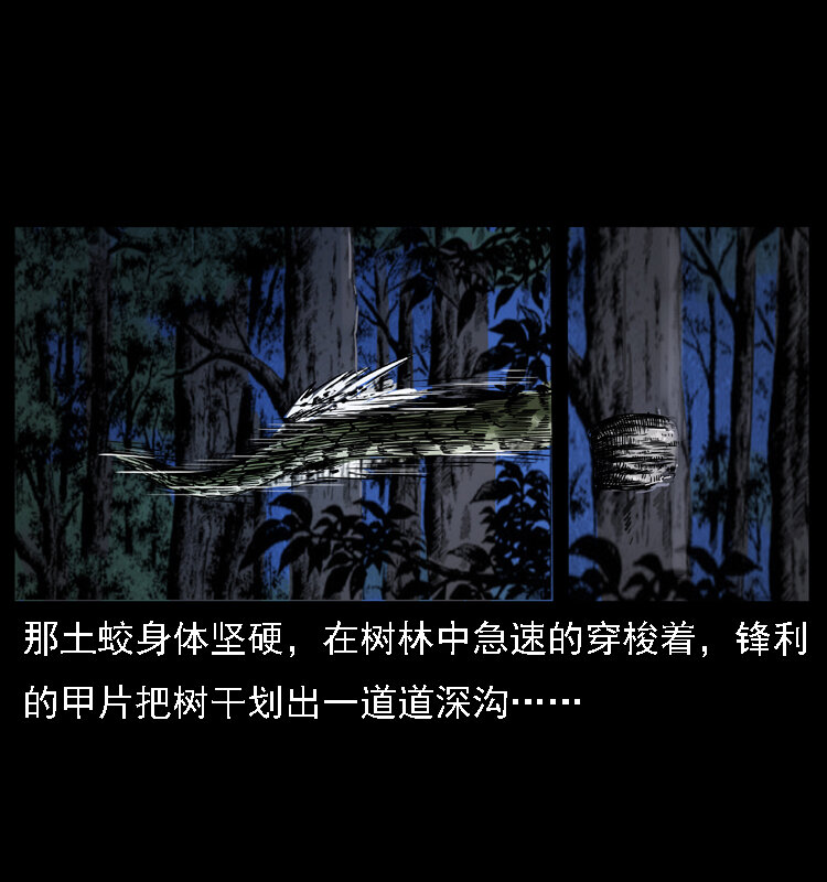 030 斗土蛟210