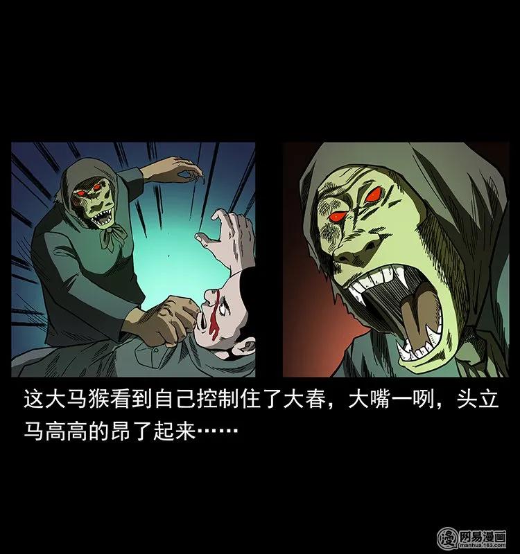 137 长白山毛脸怪71