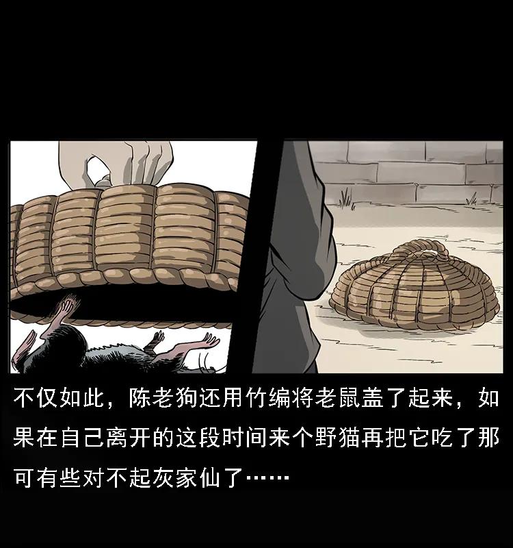 082 鬼桃树6
