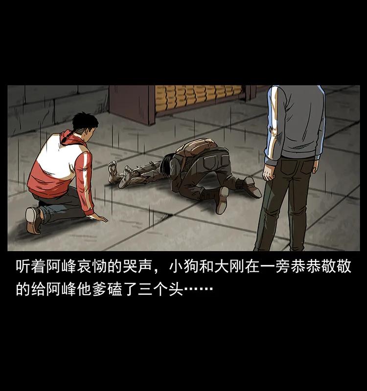 217 最可怕的危机34