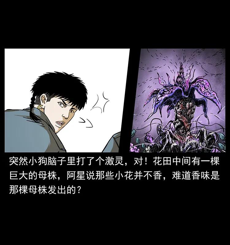 236 神秘的小岛57