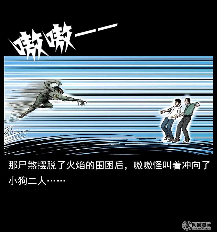 118 天宝仙牌7