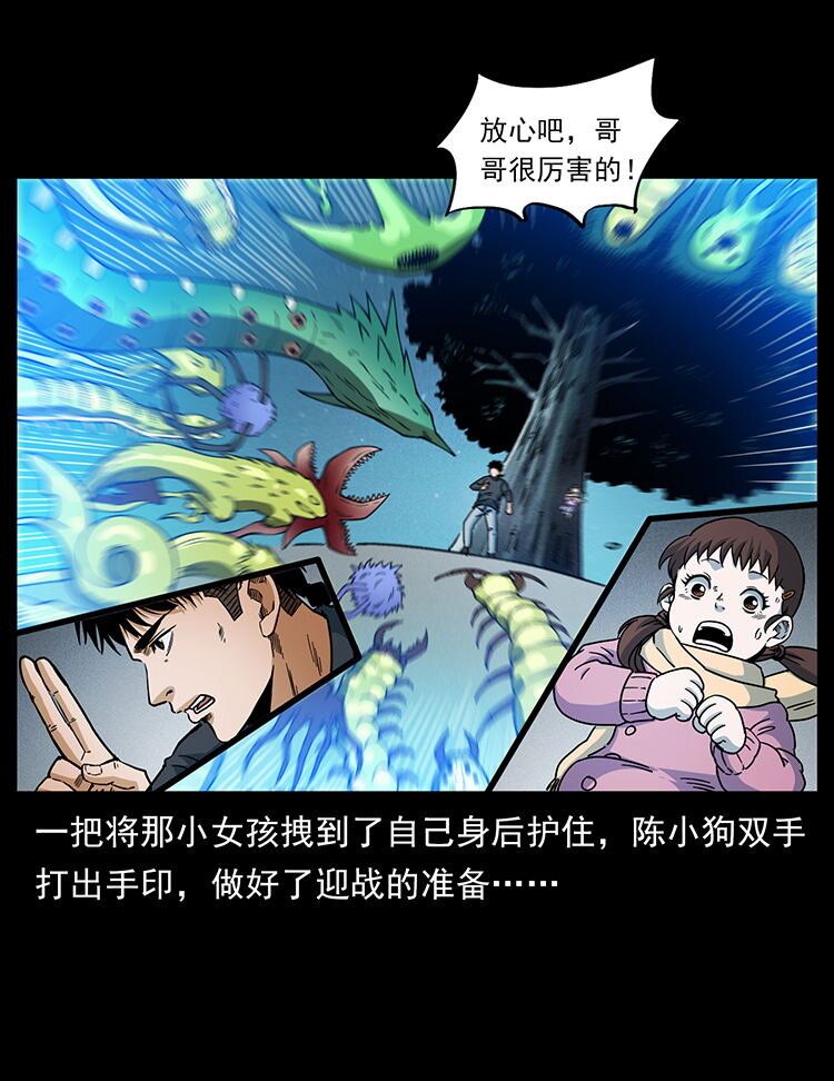 481 树43