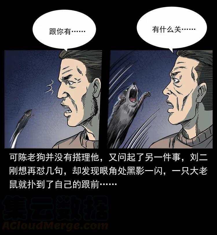 251 刨尸狗遇险20