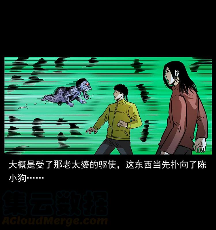 181 龙家人初现80
