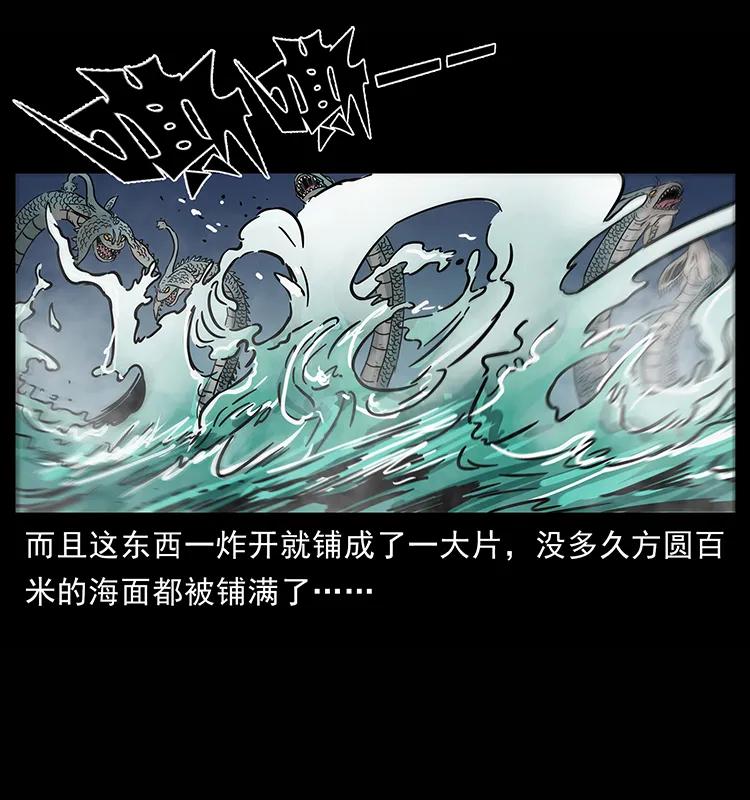 241 斗阎王22