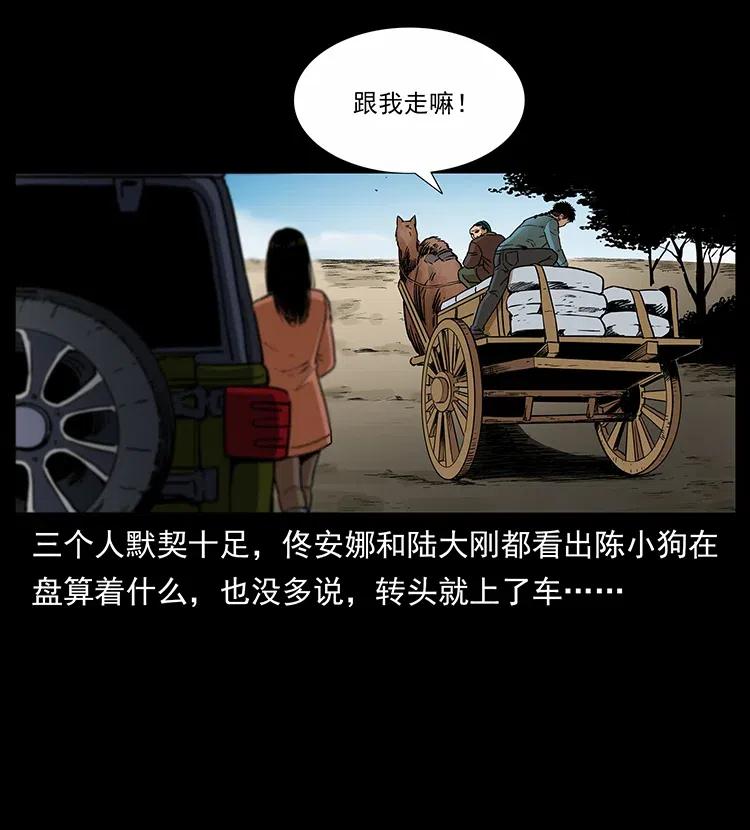316 大漠归客27