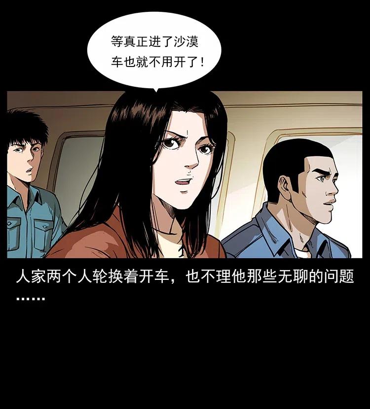 316 大漠归客5