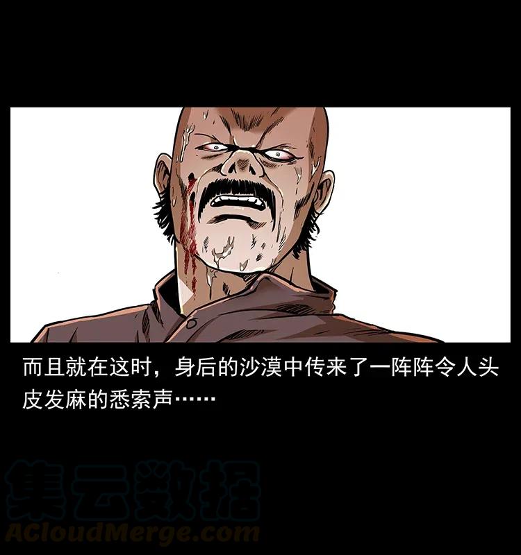 317 大漠凶兽16