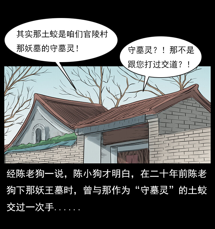 023 守墓妖灵8