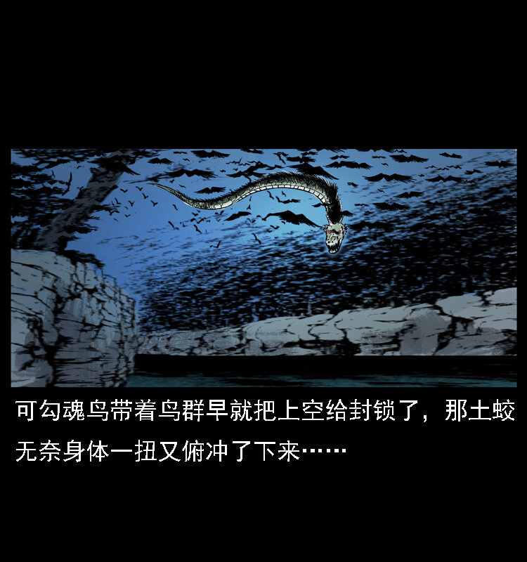 030 斗土蛟217