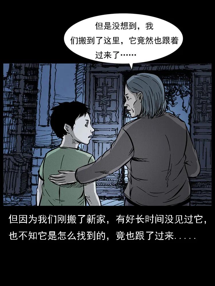番外2 之保家白仙35