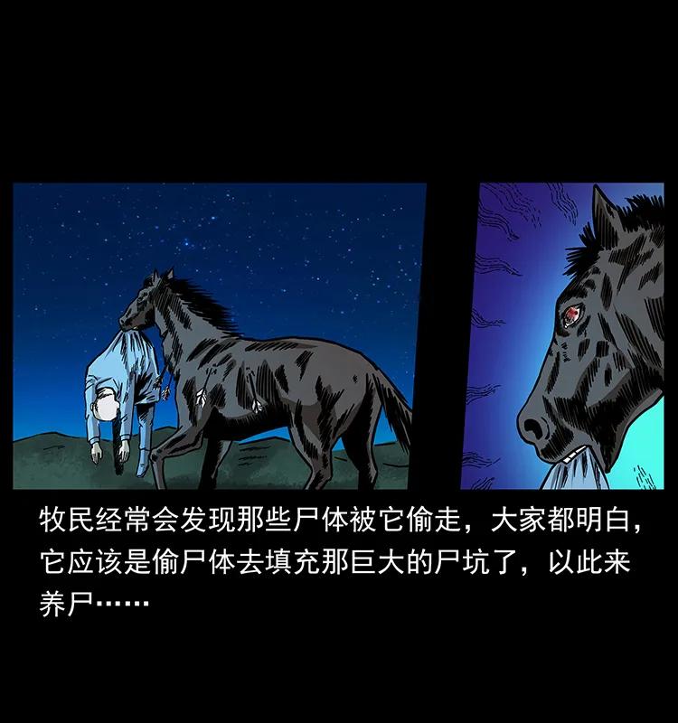 157 妖驹驮尸87