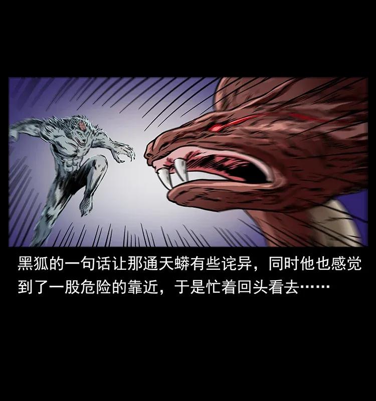 288 强者归队！70