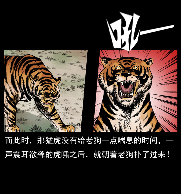 049 刨尸狗传奇228