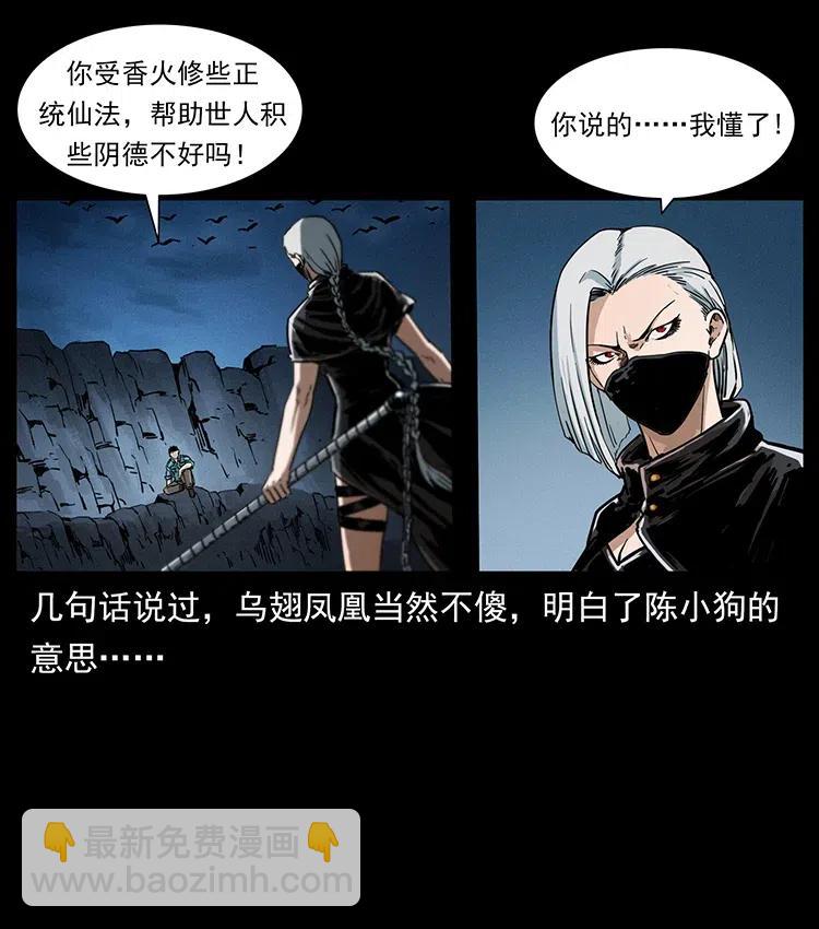 370 乌翅凤凰67