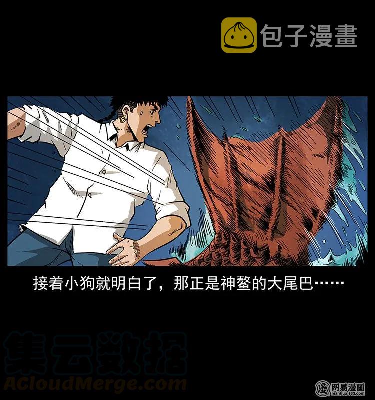 124 神鳌56