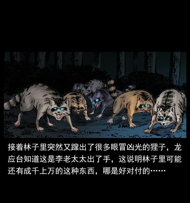 176 对峙祖龙顶85