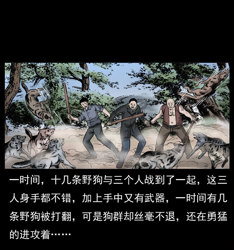 050 刨尸狗传奇333