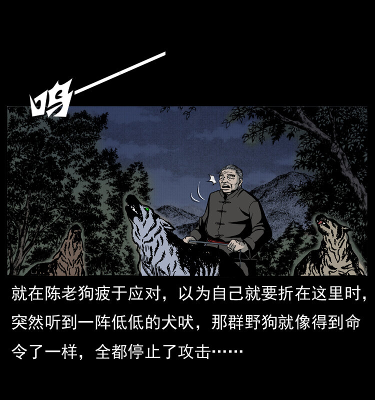 005 刨尸狗45