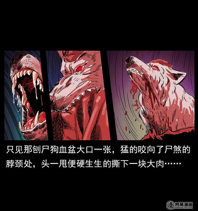 118 天宝仙牌43