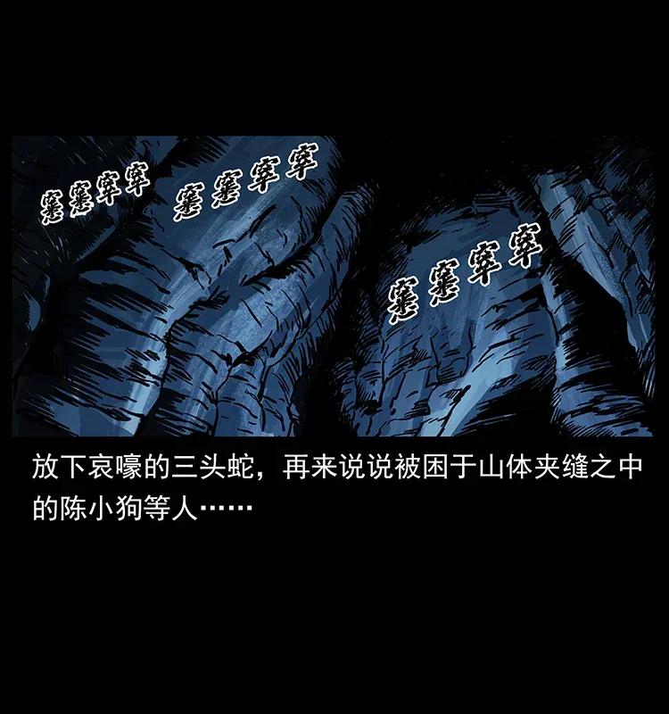 278 黑狐的危机！10