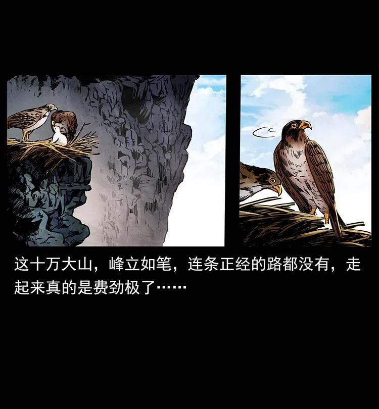 351 前路凶险2