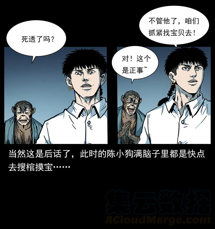 227 猴脑20