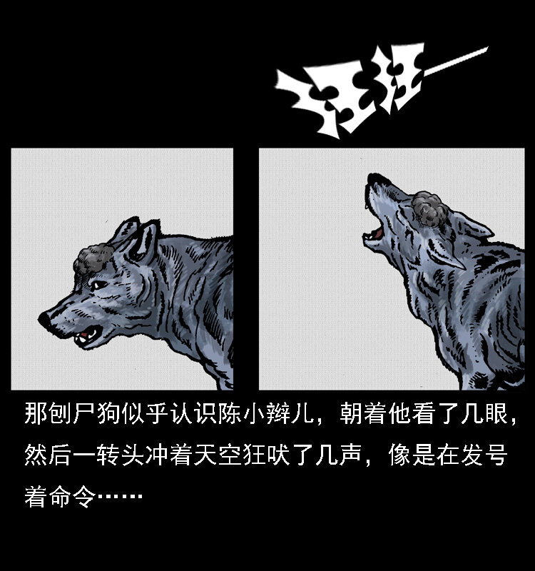 014 斗血尸64