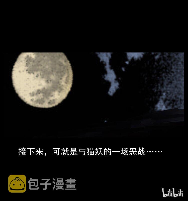 003 赵家的猫72