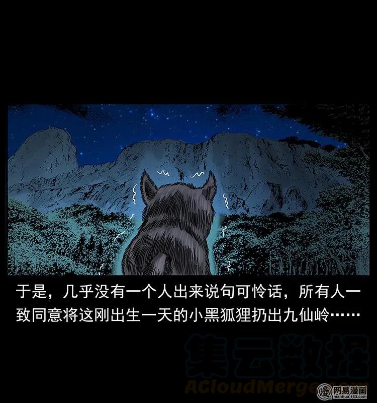 142 黑狐20
