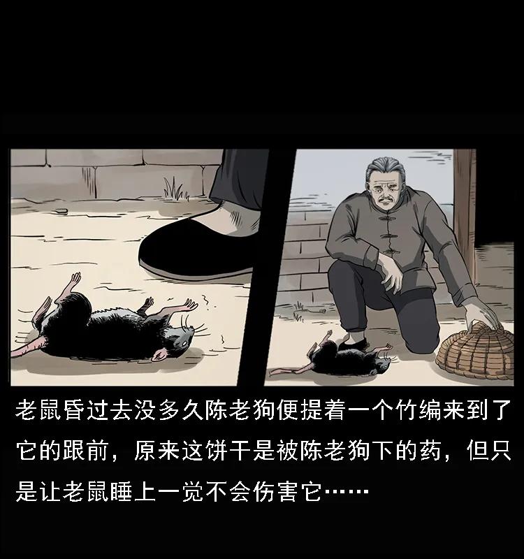 082 鬼桃树5