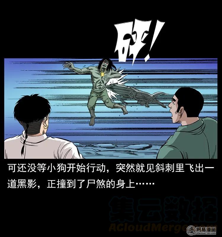 118 天宝仙牌36
