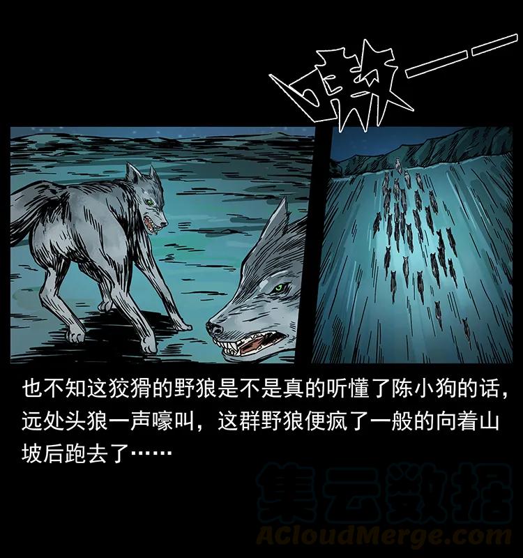212 草原深处48