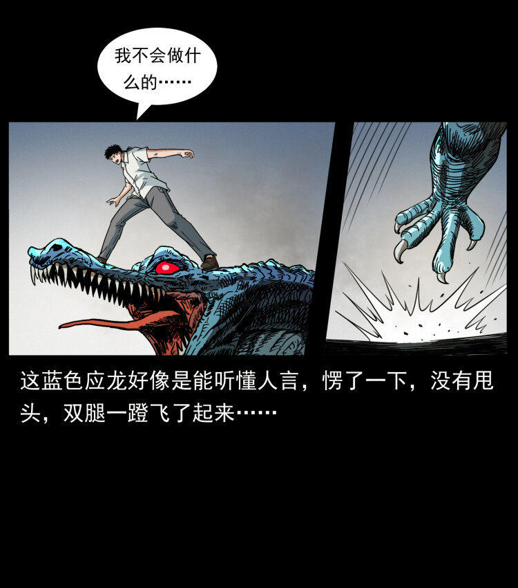 440 应天龙33