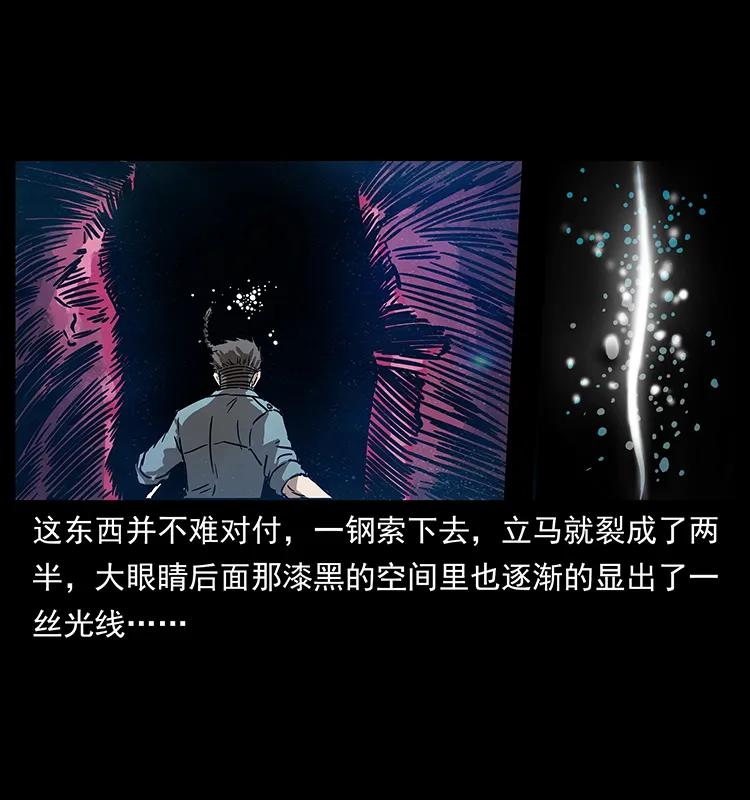 242 陈小狗失算了53