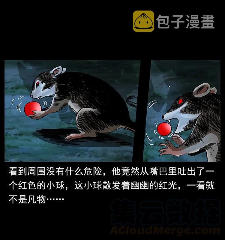 163 陈老狗下南疆8