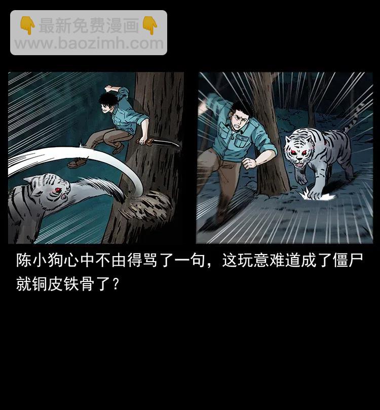 342 白毛僵尸38