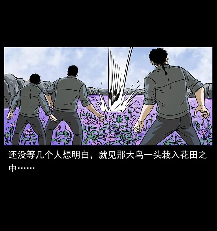 236 神秘的小岛50