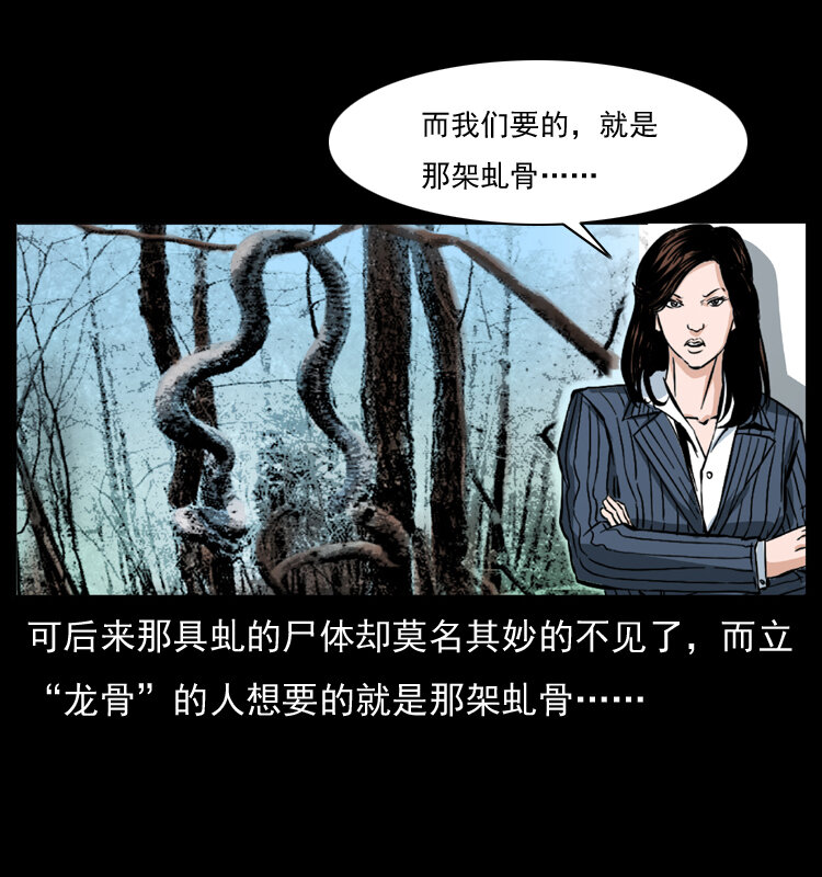 047 接龙骨28
