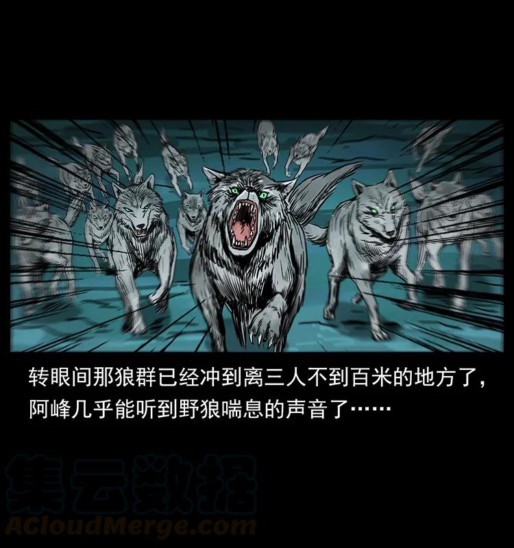 212 草原深处28