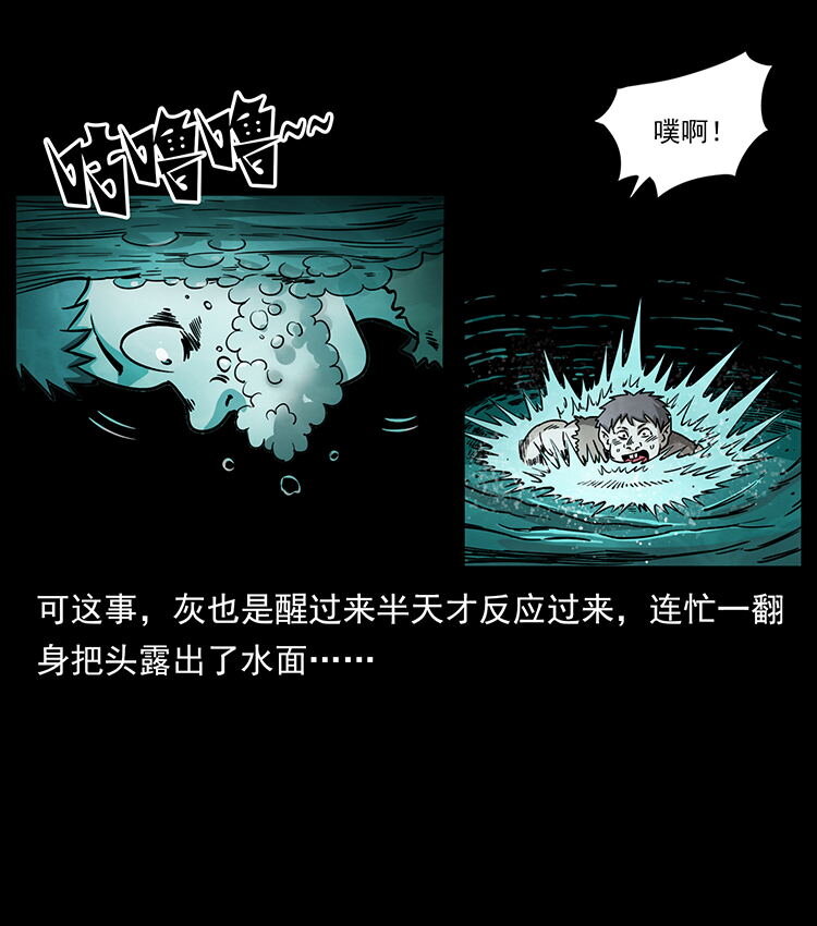 482 以树为启点7