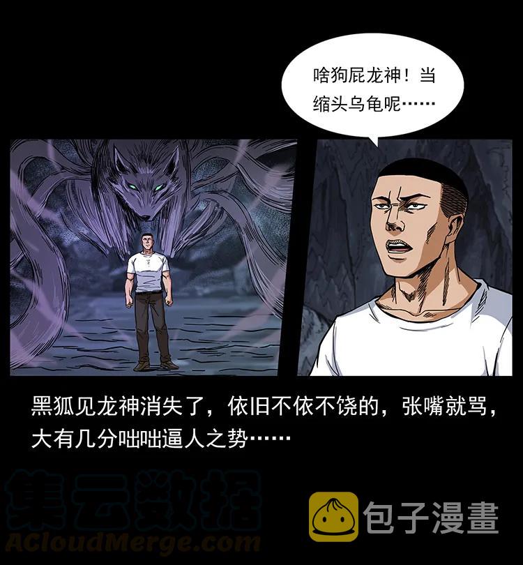 199 黑狐不好惹8