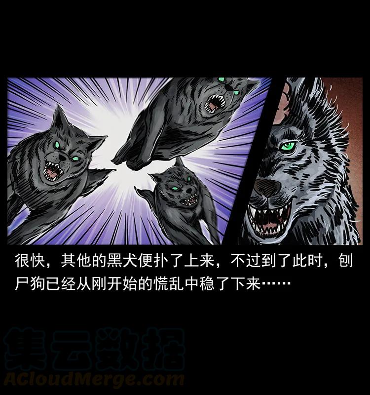 252 危机！危机8