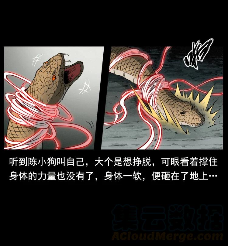 398 尸仙81