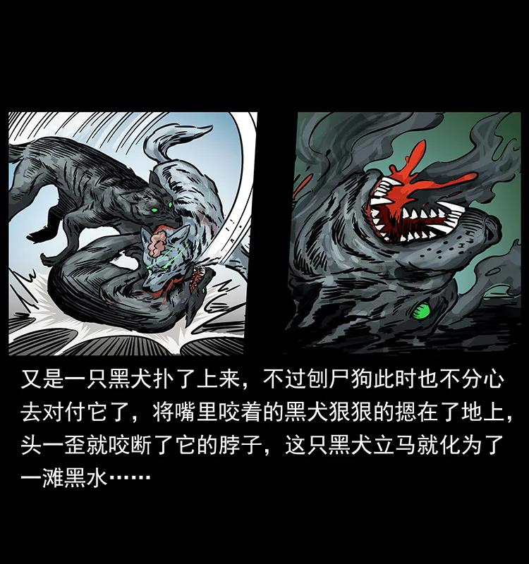 252 危机！危机30