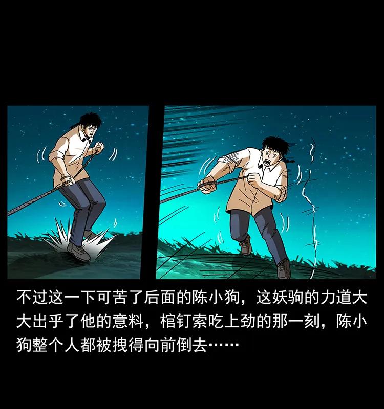 158 妖驹的选择30